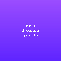 Plus d'espace galerie