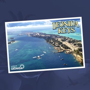 Leonida Keys Postcard Phone