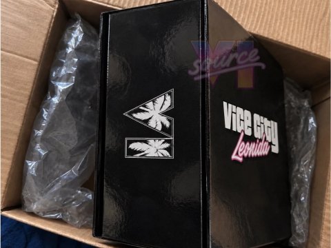 GTA 6 Boite Vice City Leonida Cote