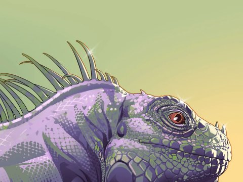 GTA VI Artwork Keith Richards Iguana