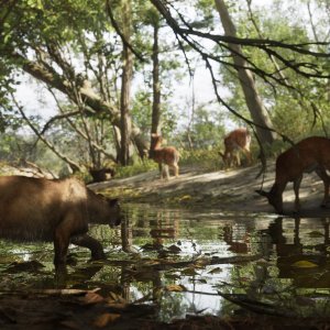 Mount Kalaga National Park 05