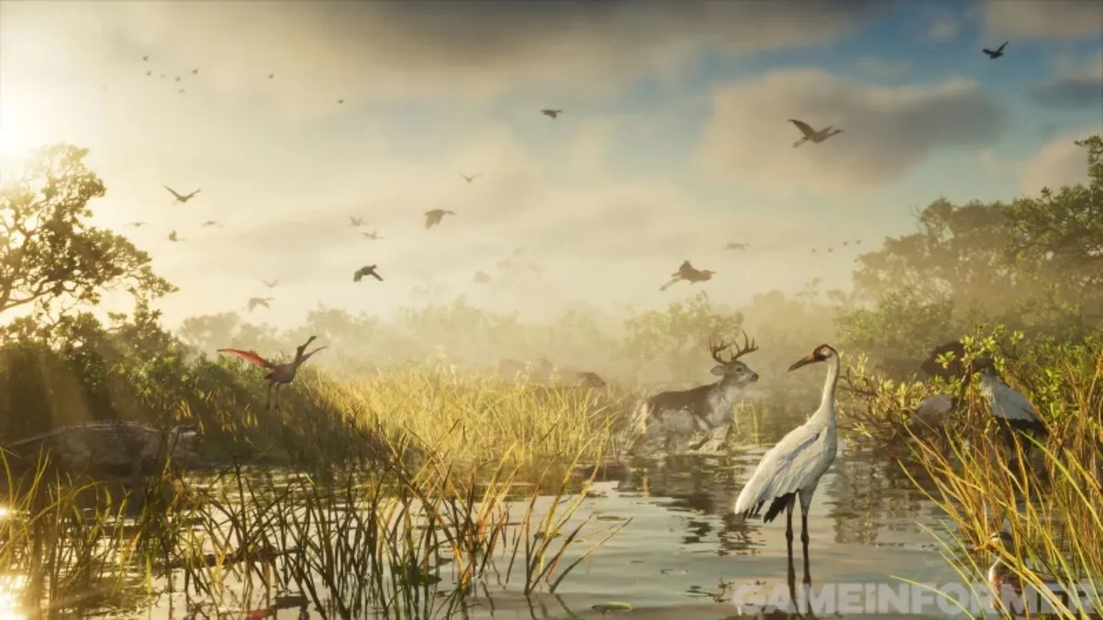 Marais de Leonida au lever du jour dans GTA 6 : un grand échassier blanc, un cerf traversant l'eau et des dizaines d'oiseaux en vol